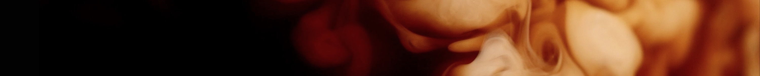 CON LECHE banner