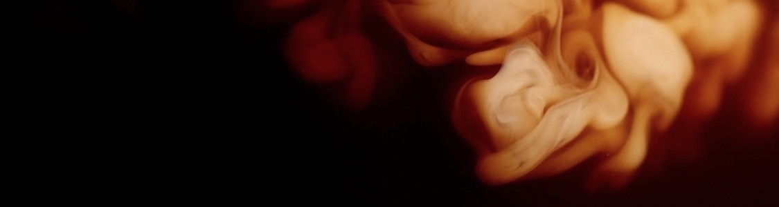 CON LECHE banner