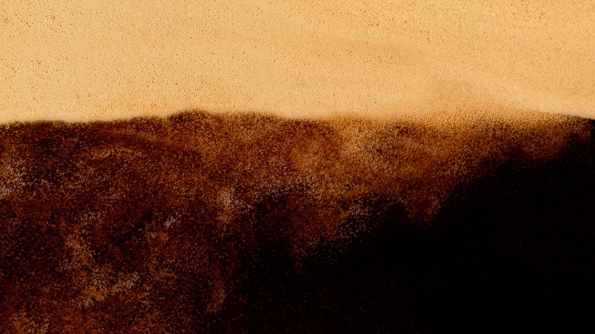 Sin Sellos banner