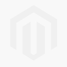 Nestlé Logo