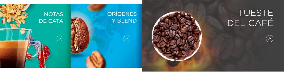 Tueste del Café