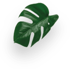 Piccolo XS Negra decoration Image